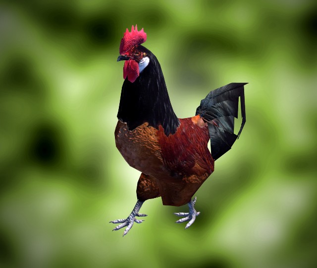 Rooster preview image 1